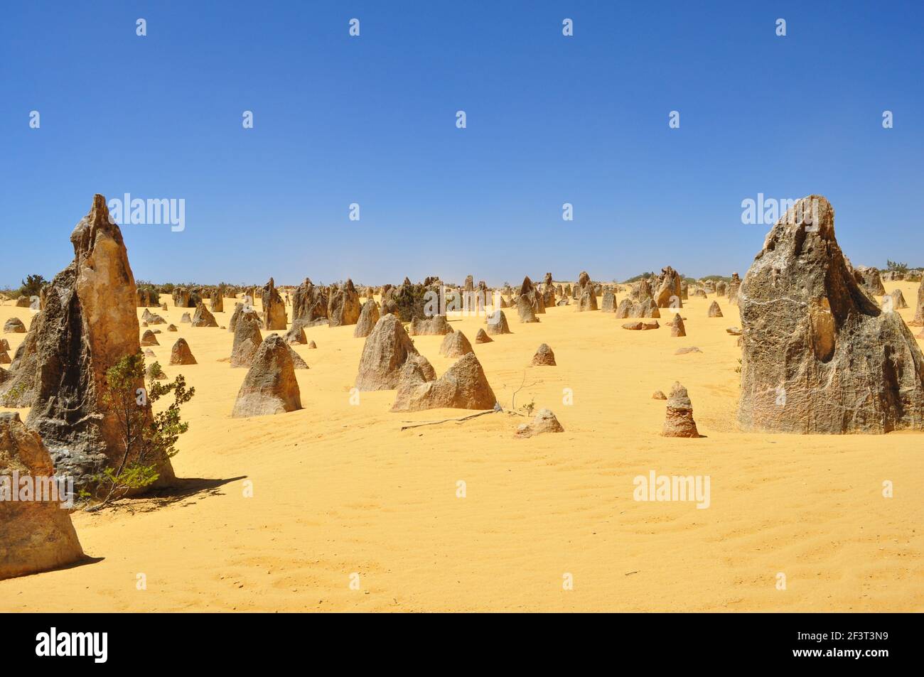 Die Pinnacles Desert WA Stockfoto