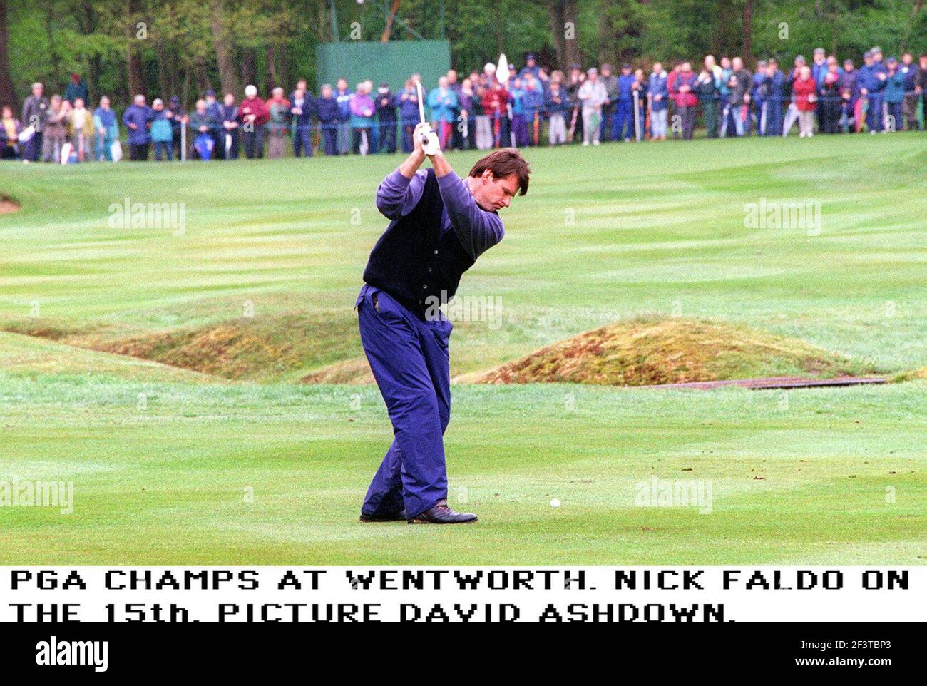 Nick Faldo auf dem fünfzehnten Grün während der PGA Championships In Wentworth Stockfoto