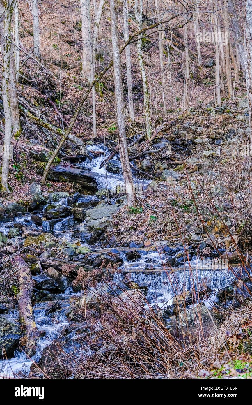 Bergbach im Winter vom Wasserfall Stockfoto