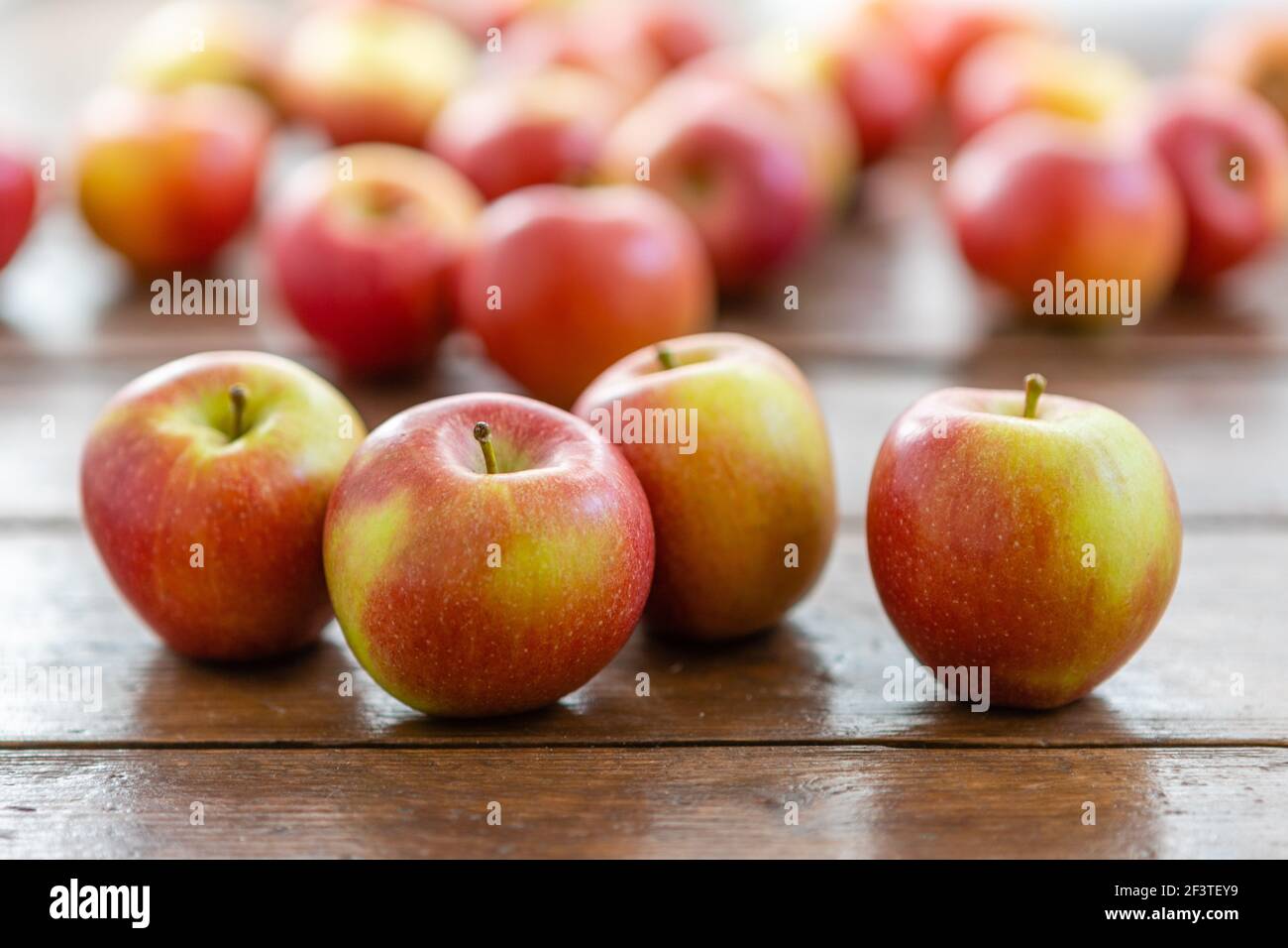 Äpfel auf einem hölzernen Hintergrund mit einem sommerlichen Gefühl geschossen. Stockfoto