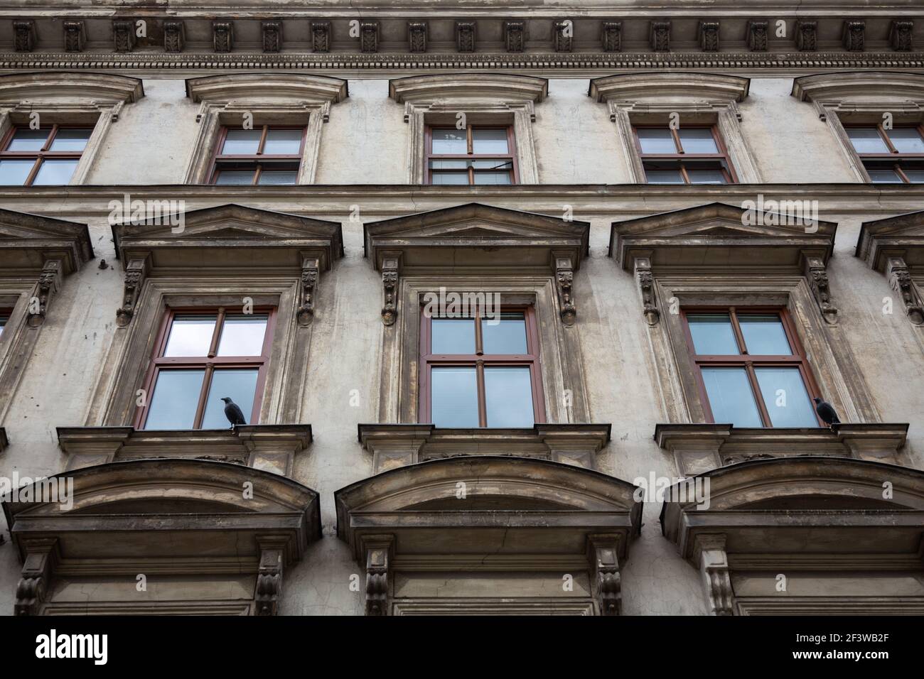 Köder Vögel sitzen vor den Fenstern des Wohnhauses, Wien in Österreich Stockfoto