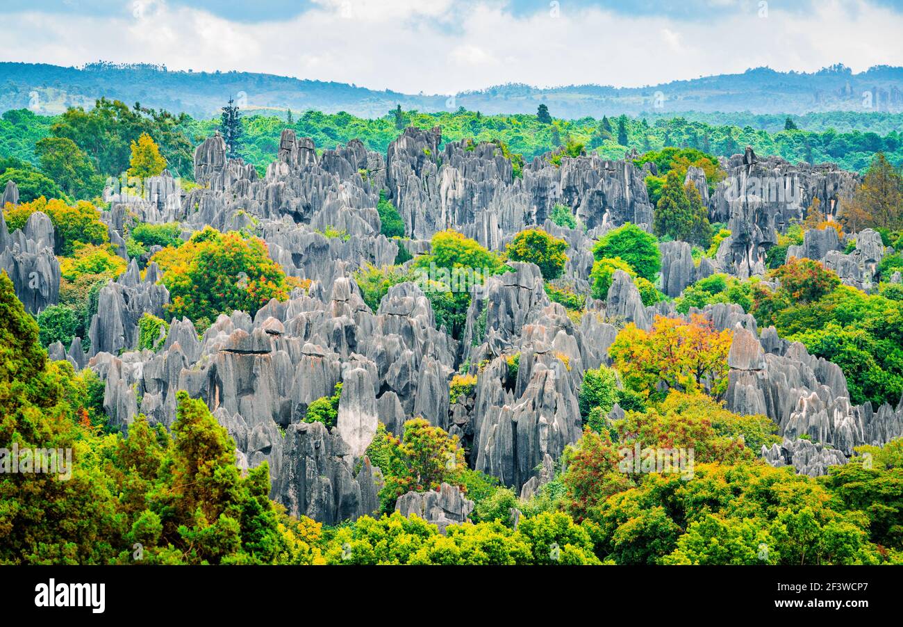 Panorama-Landschaft Blick auf Shilin großen Stein Wald mit hellen Herbstfarben in Kunming Yunnan China Stockfoto Panorama-Landschaft Blick auf Shilin großen Stein Wald mit hellen Herbstfarben in Kunming Yunnan China Stockfoto