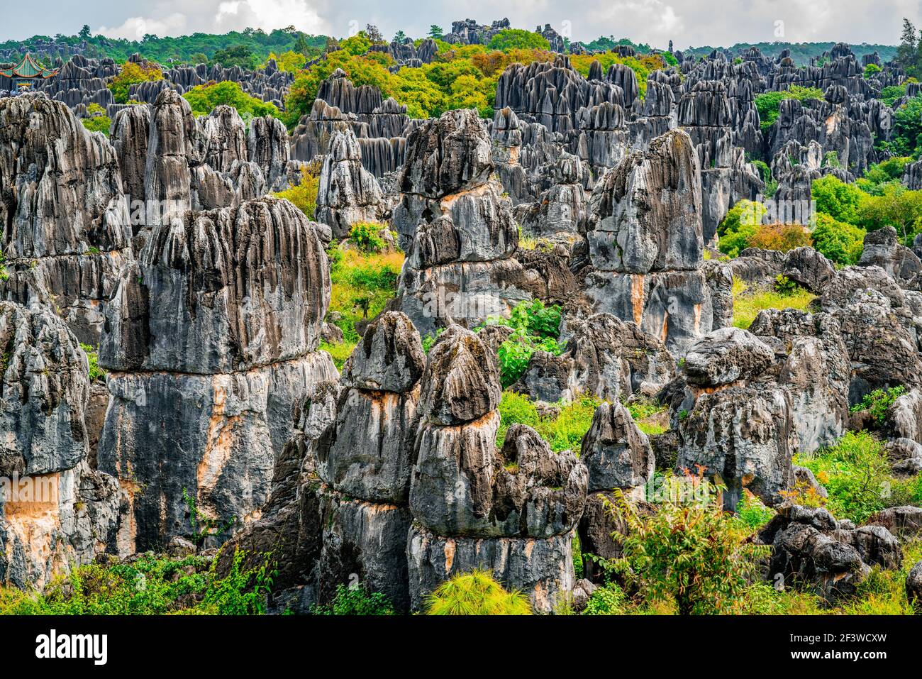 Herrliche Landschaft Blick auf Shilin großen Stein Wald mit hellen Herbstfarben in Kunming Yunnan China Stockfoto