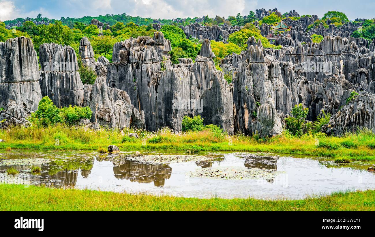 Panorama von Shilin großen Steinwald mit hellen Herbstfarben Und Teich mit Wasserspiegelung in Kunming Yunnan China Stockfoto
