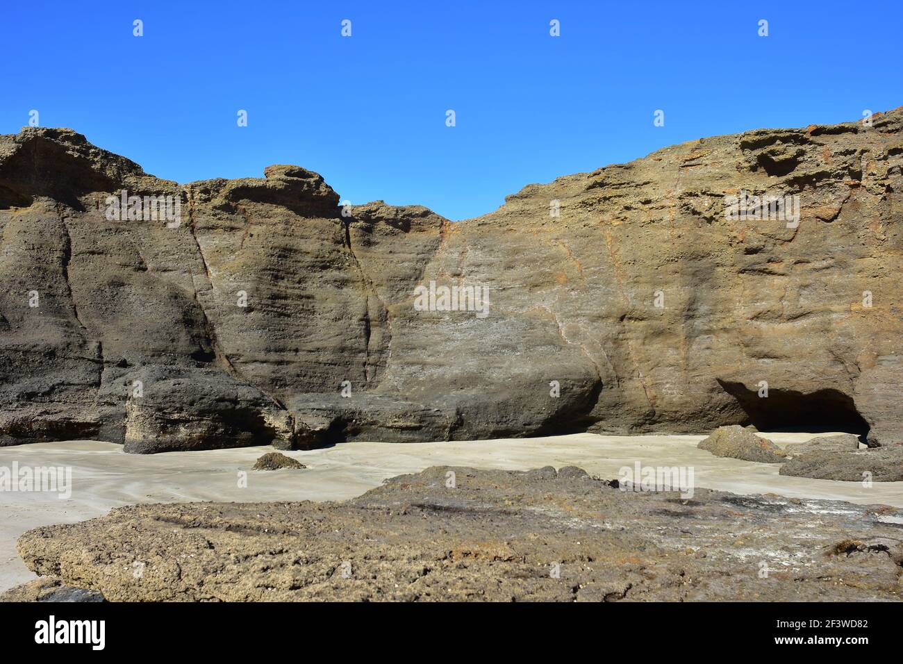 Erodierende felsige Formation mit senkrechter Wand und kleinen Höhlen, die bei Ebbe am Sandstrand freigelegt sind. Stockfoto