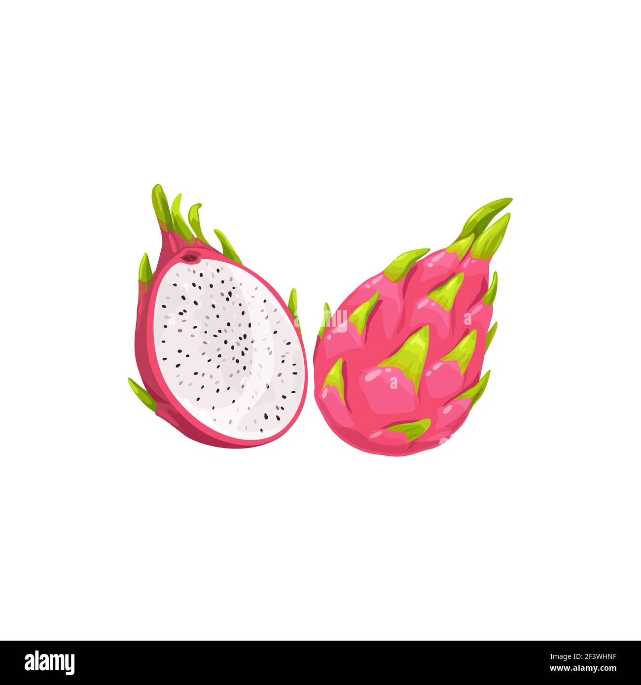 Dragon Obst pitaya ganze und schneiden isoliert realistische tropische Lebensmittel Dessert. Vector reife pitahaya, saftige tropische Früchte, vegetarisches Essen, Lebensmittelgeschäft produ Stock Vektor