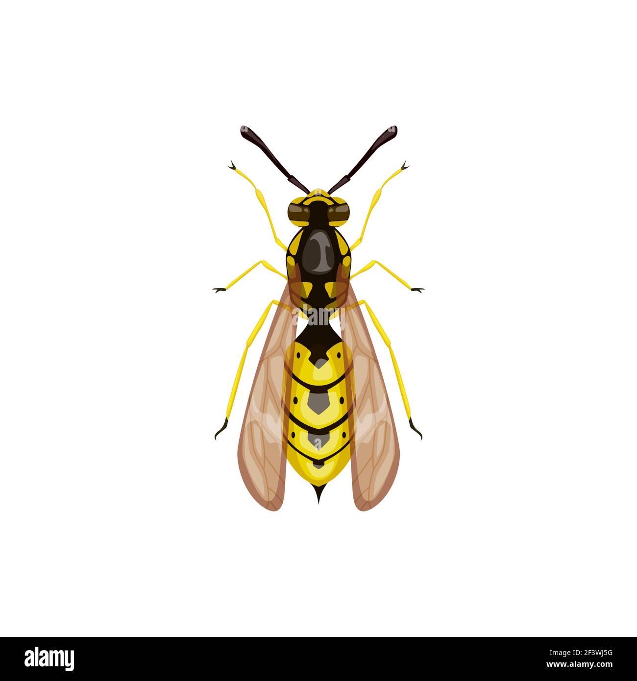 Wespensymbol, Schädlingsbekämpfung Insektenparasit, Hornet Vektor isoliert. Schädlingsbekämpfung Desinsektion, Desinfektion und Ausrottung Symbol, Landwirtschaft Insekten Stock Vektor