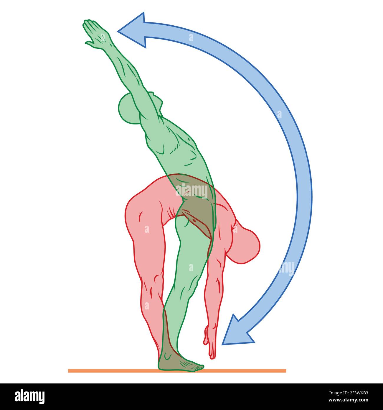 Illustration des menschlichen Körpers in Bewegung Pose, Person, die körperliche Bewegung, Person in guter körperlicher Verfassung Stock Vektor