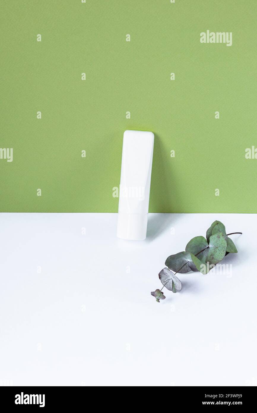 Weiße Creme-Tube oder Zahnpasta ohne Marke und Eukalyptusblätter. Umweltfreundliche kosmetische Produkte Konzept. Grüner und weißer Hintergrund. Stockfoto