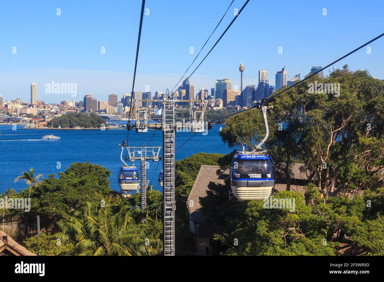 Sydney, Australien. Seilbahnen fahren bergauf zum Taronga Zoo, mit der Skyline von Sydney im Hintergrund Stockfoto