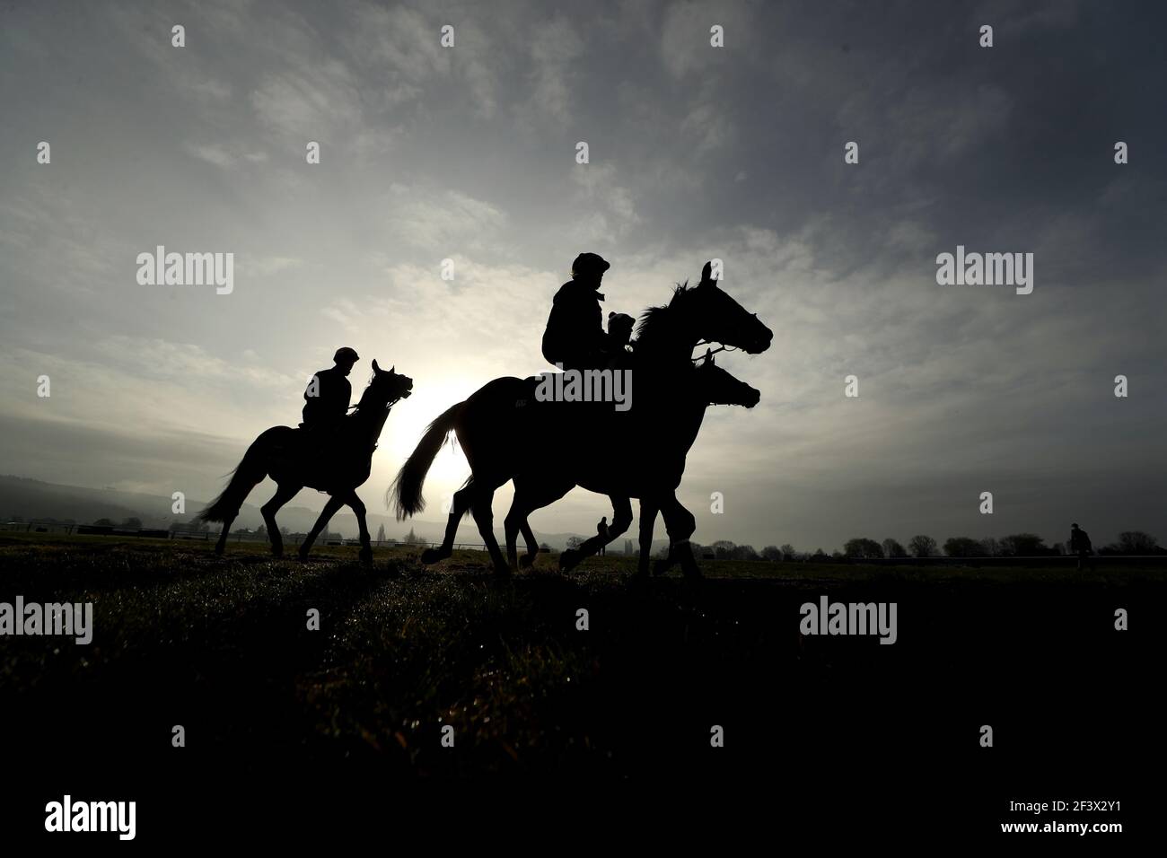 Pferde von Henry de Bromhead auf den Galopprennern vor Tag drei des Cheltenham Festival in Cheltenham Rennbahn trainiert. Bilddatum: Donnerstag, 18. März 2021. Stockfoto