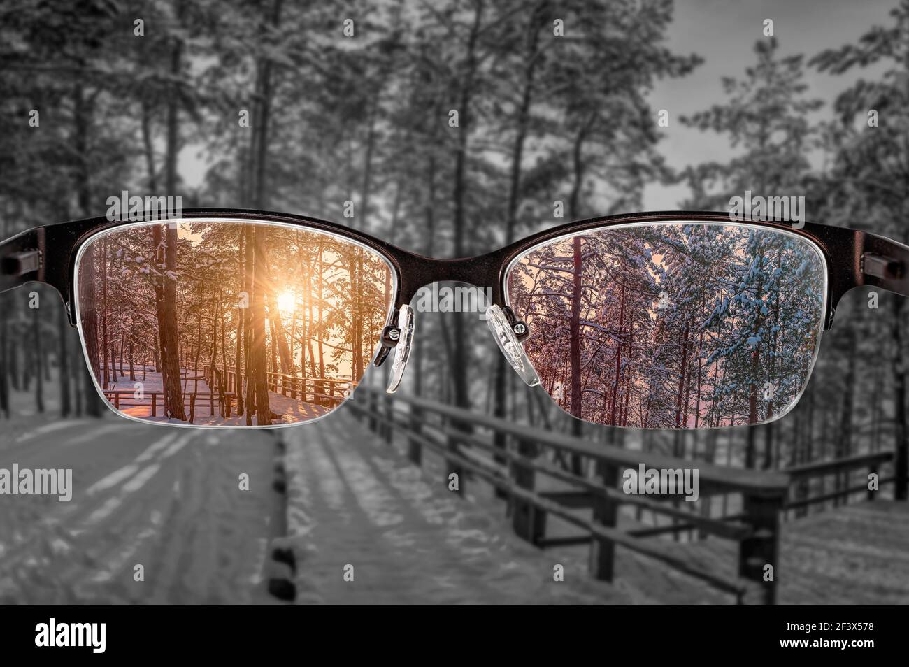 Bunte Ansicht des Sonnenuntergangs im Winterwald in Frauen Brille und  monochromen Hintergrund fokussiert. Blick durch Brillen. Besseres  Sichtkonzept. Unterschiedlich Stockfotografie - Alamy