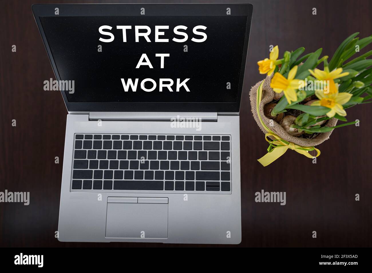 Draufsicht auf silbernen Laptop mit Aufschrift Stress bei der Arbeit und Anlage auf Tisch. Stockfoto