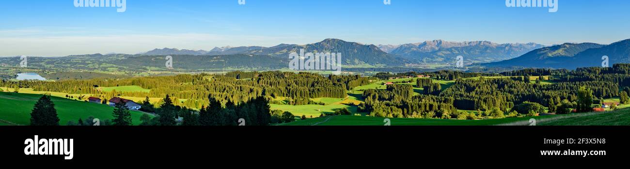 Grüne Wiesen, blauer Himmel - Sommer im Oberallgäu Stockfoto