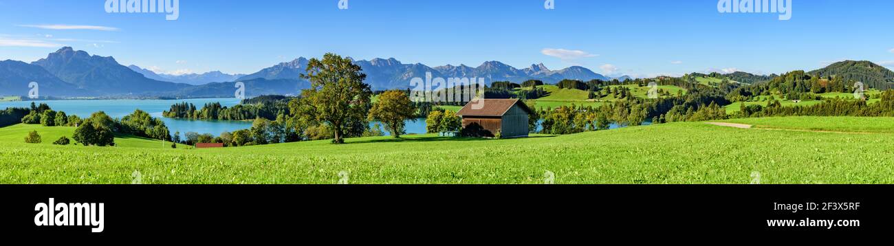 Idyllische ländliche Natur rund um den Forggensee, einem Stausee des Lech im Königswinkel bei Füssen. Stockfoto