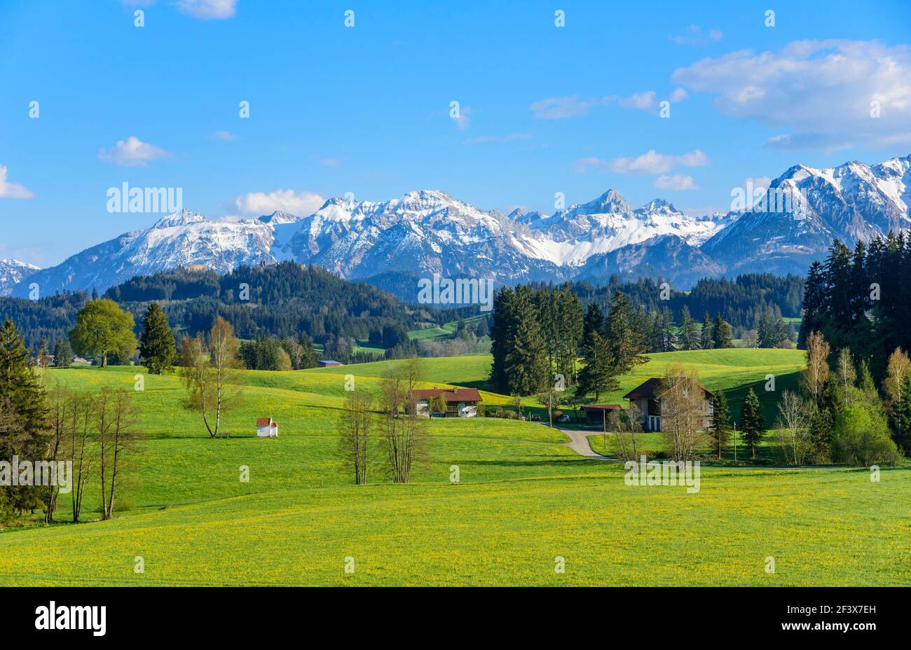 Schönen Frühling im bayerischen Allgäu Stockfoto