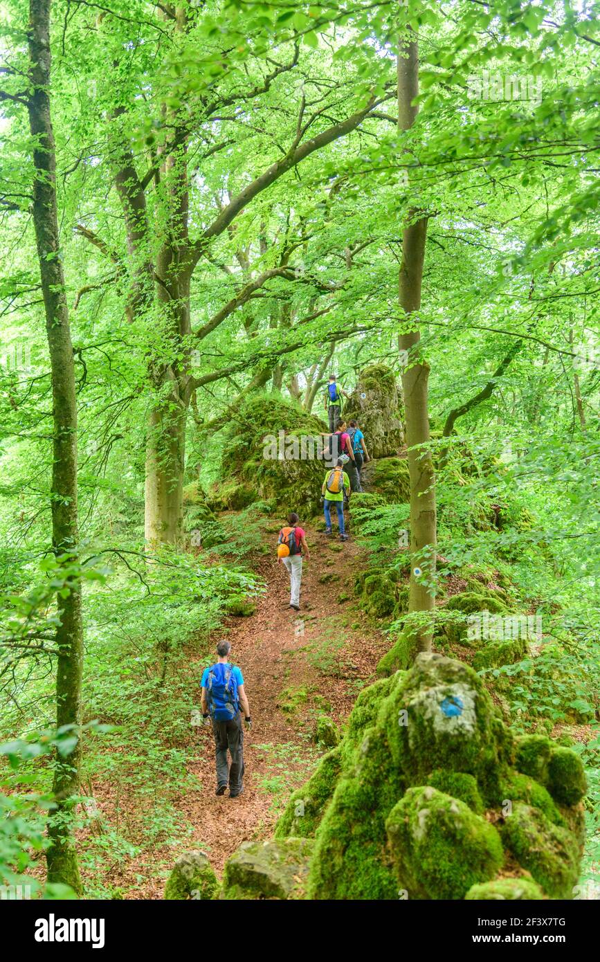 Gut gelaunte Junge Leute wandern auf Rocky Trail im fränkischen Hügeln Stockfoto