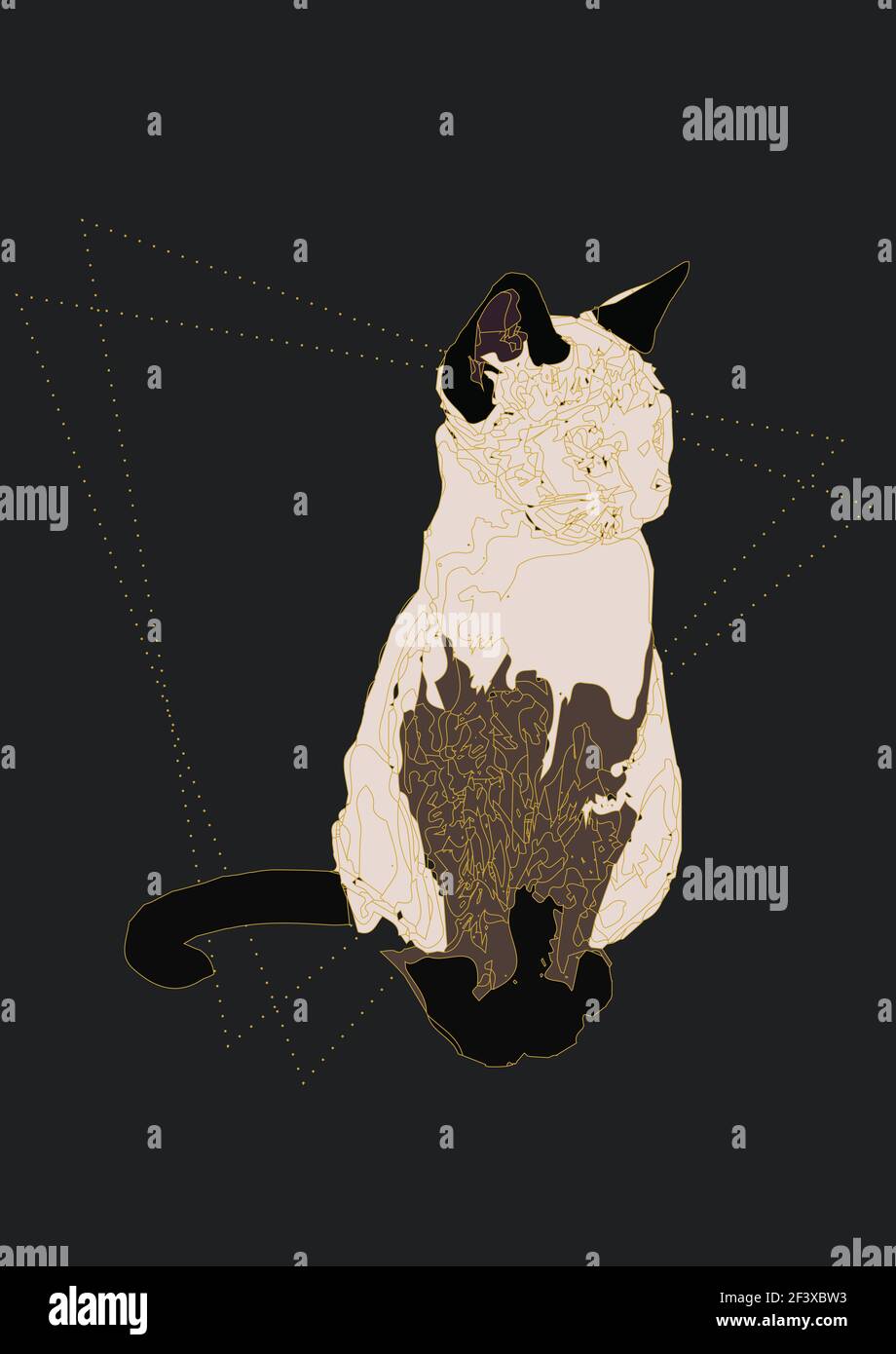 Illustration einer Hauskatze isoliert auf schwarzem Hintergrund Stockfoto