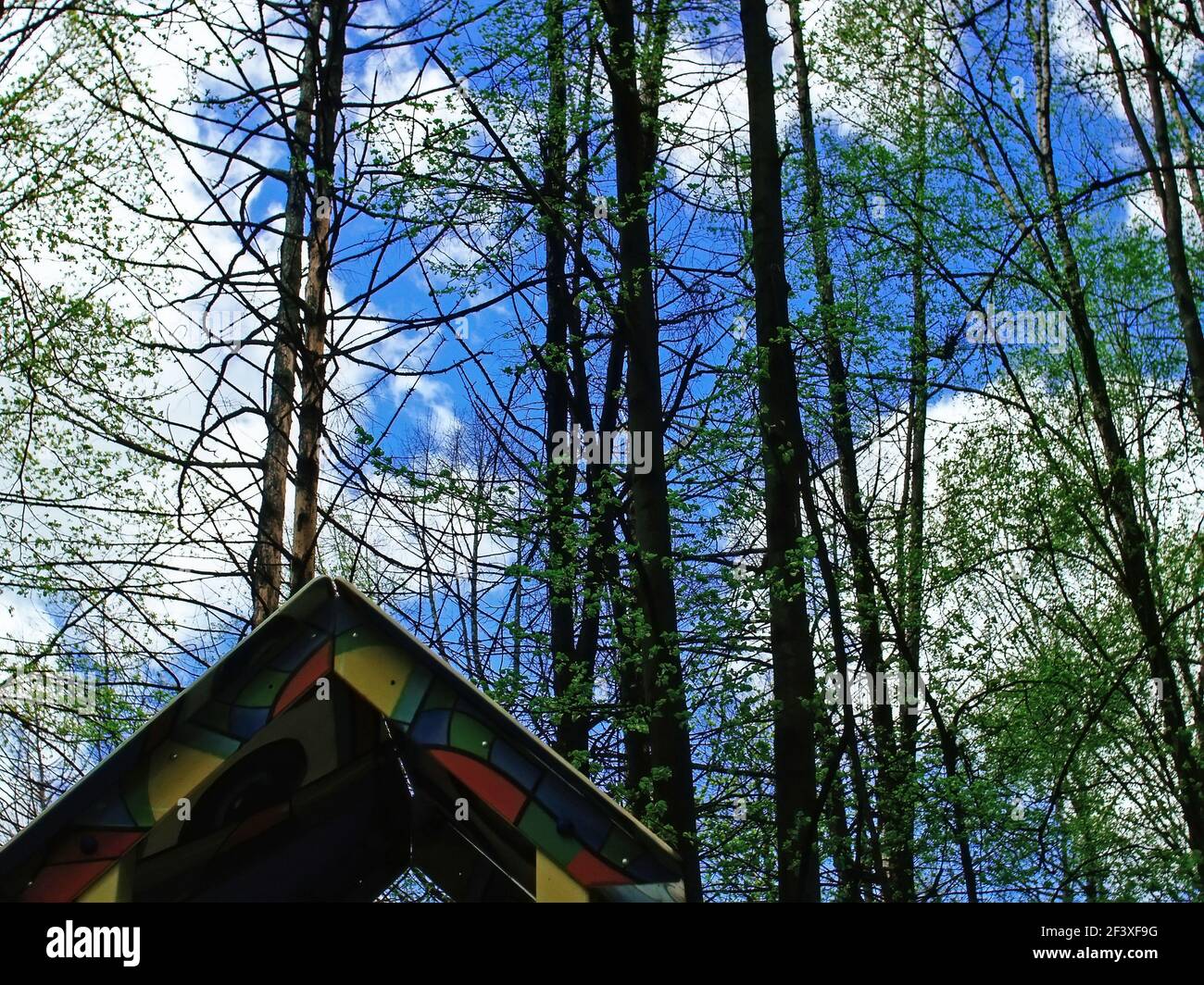 Kinderspielplatz im Wald im Frühjahr, Russland Stockfoto