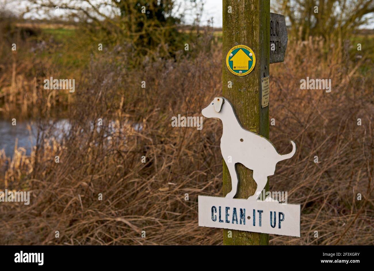 Schild, das Hundewanderer auffordert, abzuholen, England Großbritannien Stockfoto