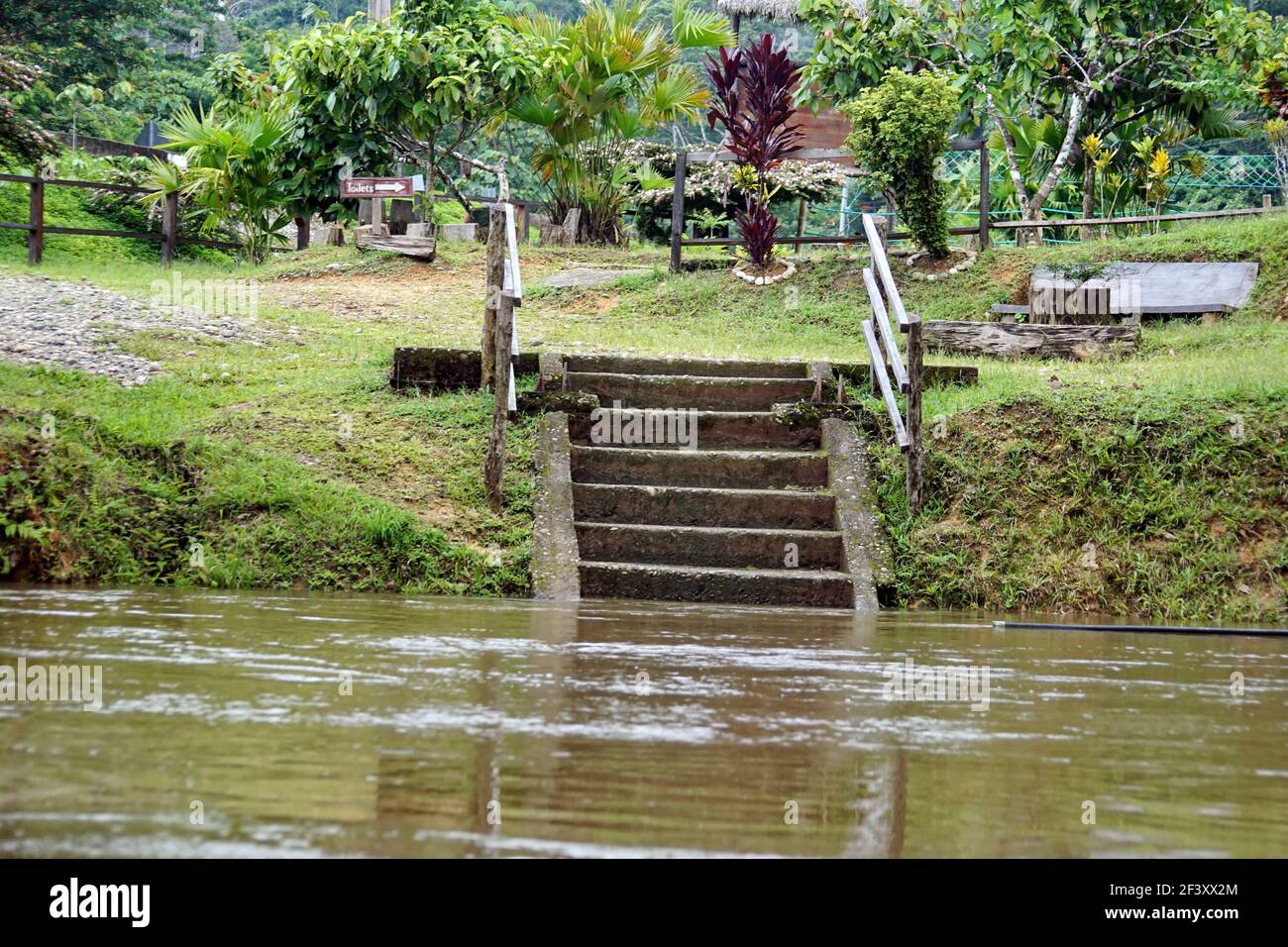 Schritte, die zum Fluss am Eingang zum Cuyabeno Wildlife Reserve, außerhalb des Lago Agrio, Ecuador führen Stockfoto