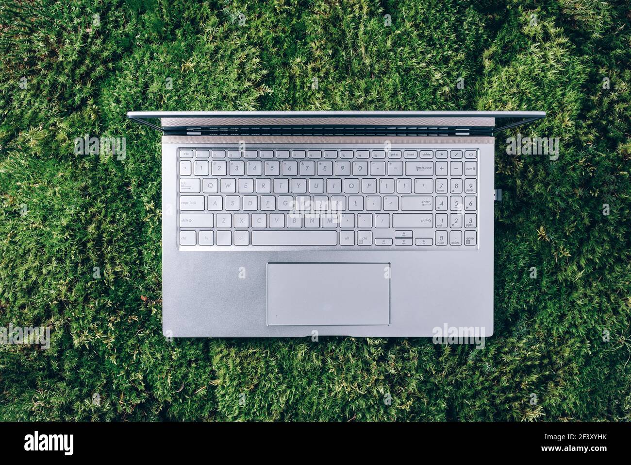 Laptop auf grünem Gras, Moos Hintergrund. Ökologie Reisen, Arbeit außerhalb Büro Konzept. Achtsamkeit, biophiles Design, Konzept ausstecken. Digitale Entgiftung Stockfoto