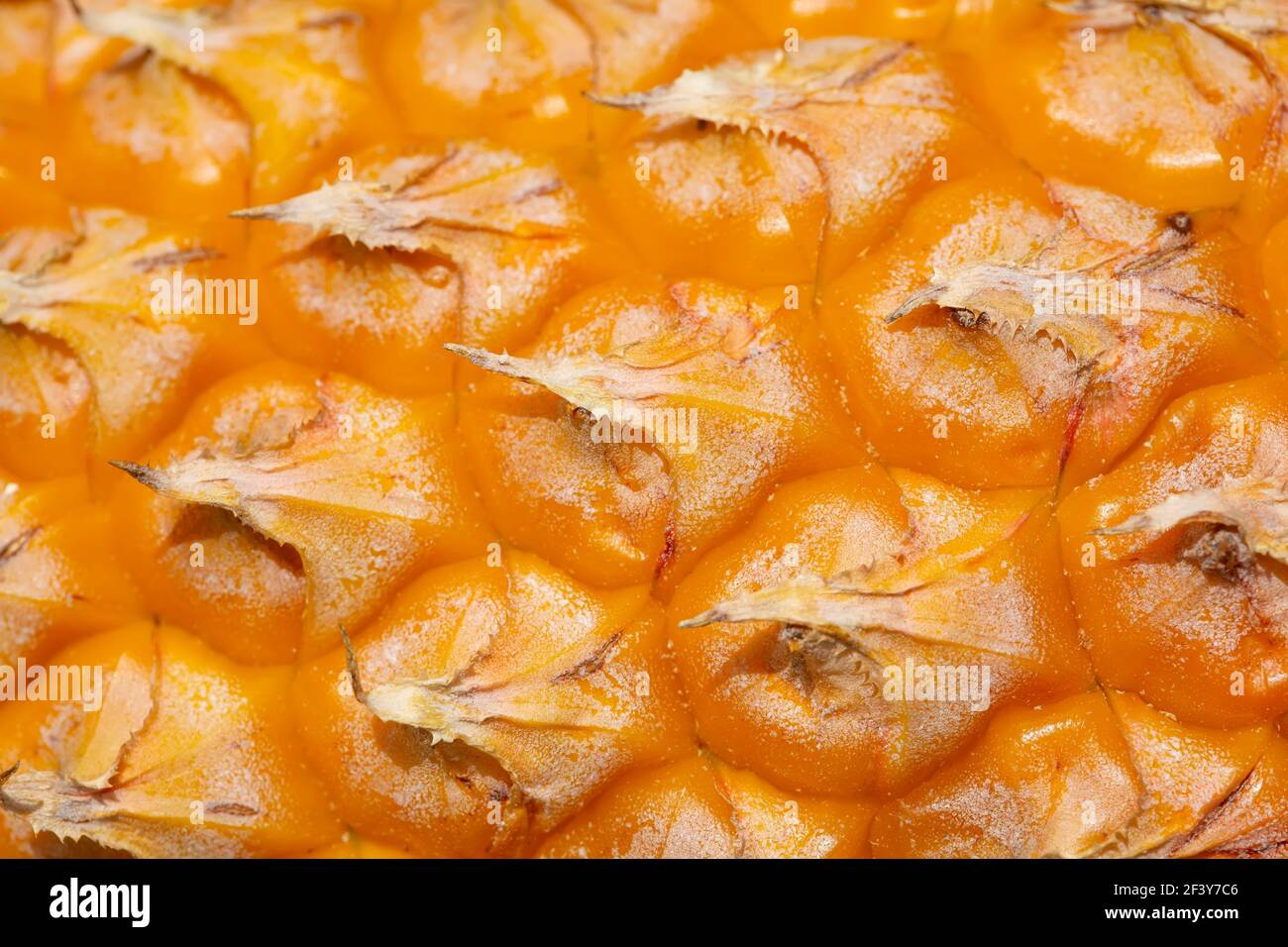 Makro Schuss von reifen Ananas. Stockfoto