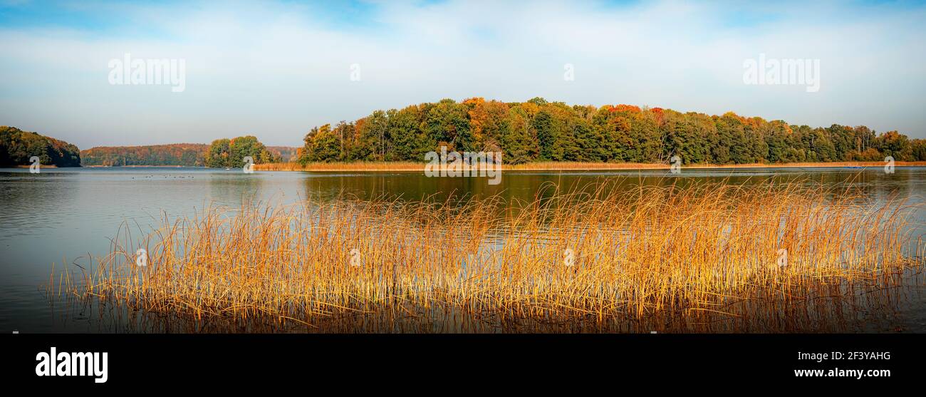 Ein Panoramabild eines schwedischen Sees im Herbst. Stockfoto