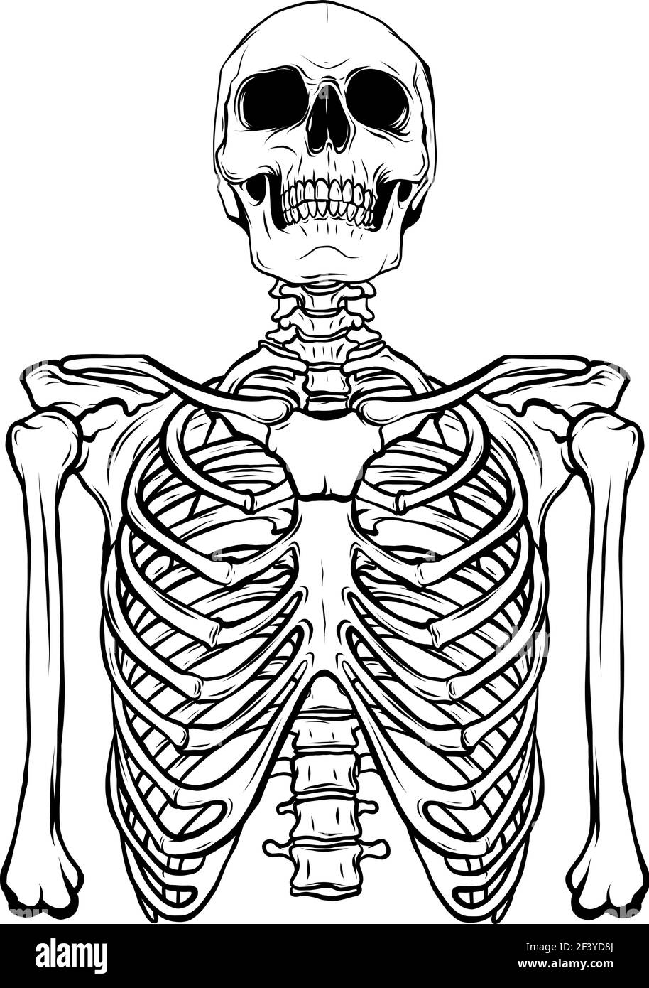 Zeichnen Sie schwarz und weiß von menschlichen Skelett auf weiß Vektordarstellung im Hintergrund Stock Vektor