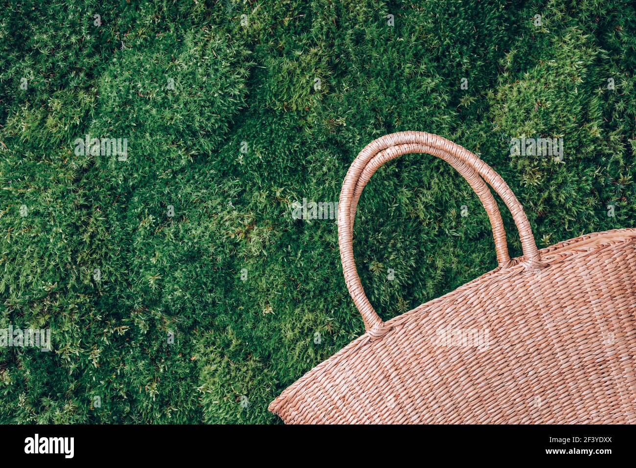 Sommerpicknick im Wald. Stroh Netzbeutel auf grünem Gras Moos Hintergrund. Draufsicht. Speicherplatz kopieren. Erholung im Freien. Digitale Entgiftung. Ziehen Sie Den Stecker Ab Stockfoto