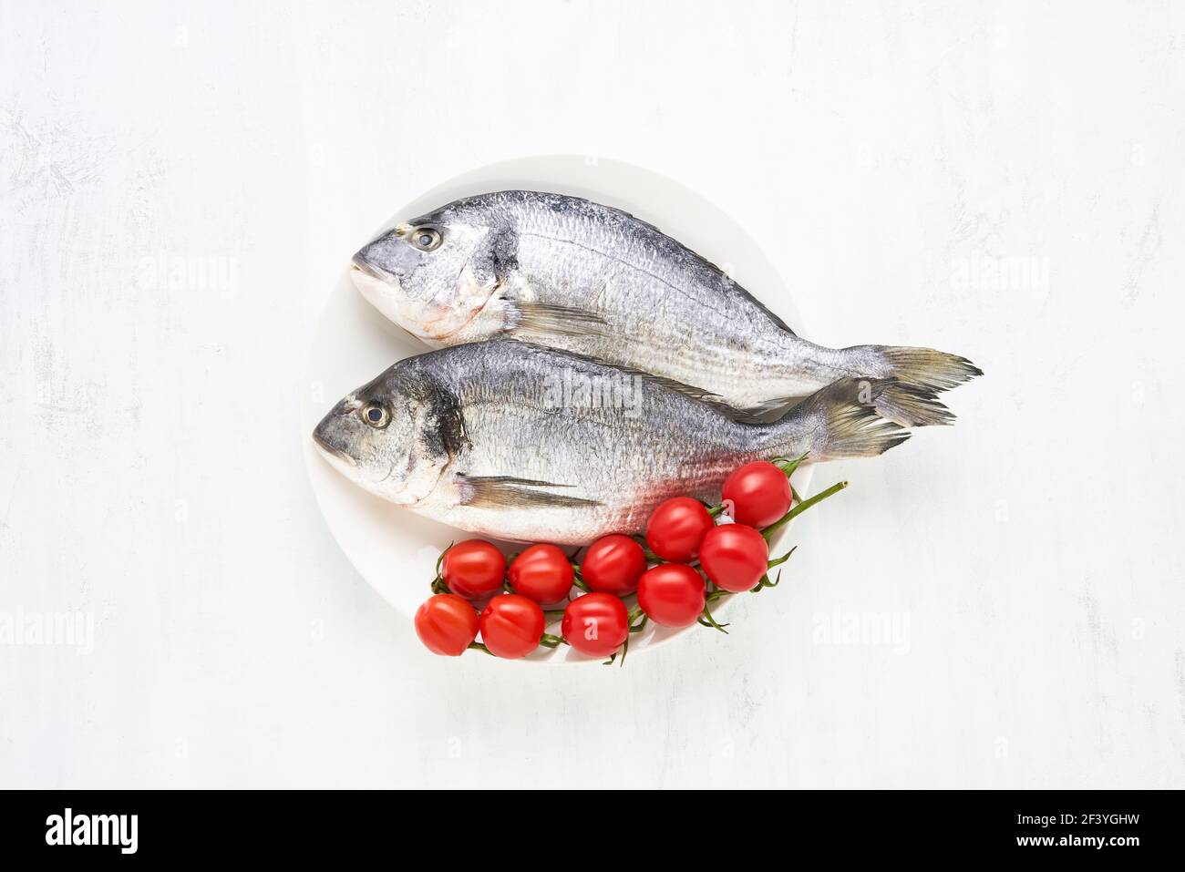 Roher dorado Fisch auf weißem Teller auf hellem Hintergrund. Mediterranes Meeresfrüchtekonzept Draufsicht, Textraum kopieren Stockfoto