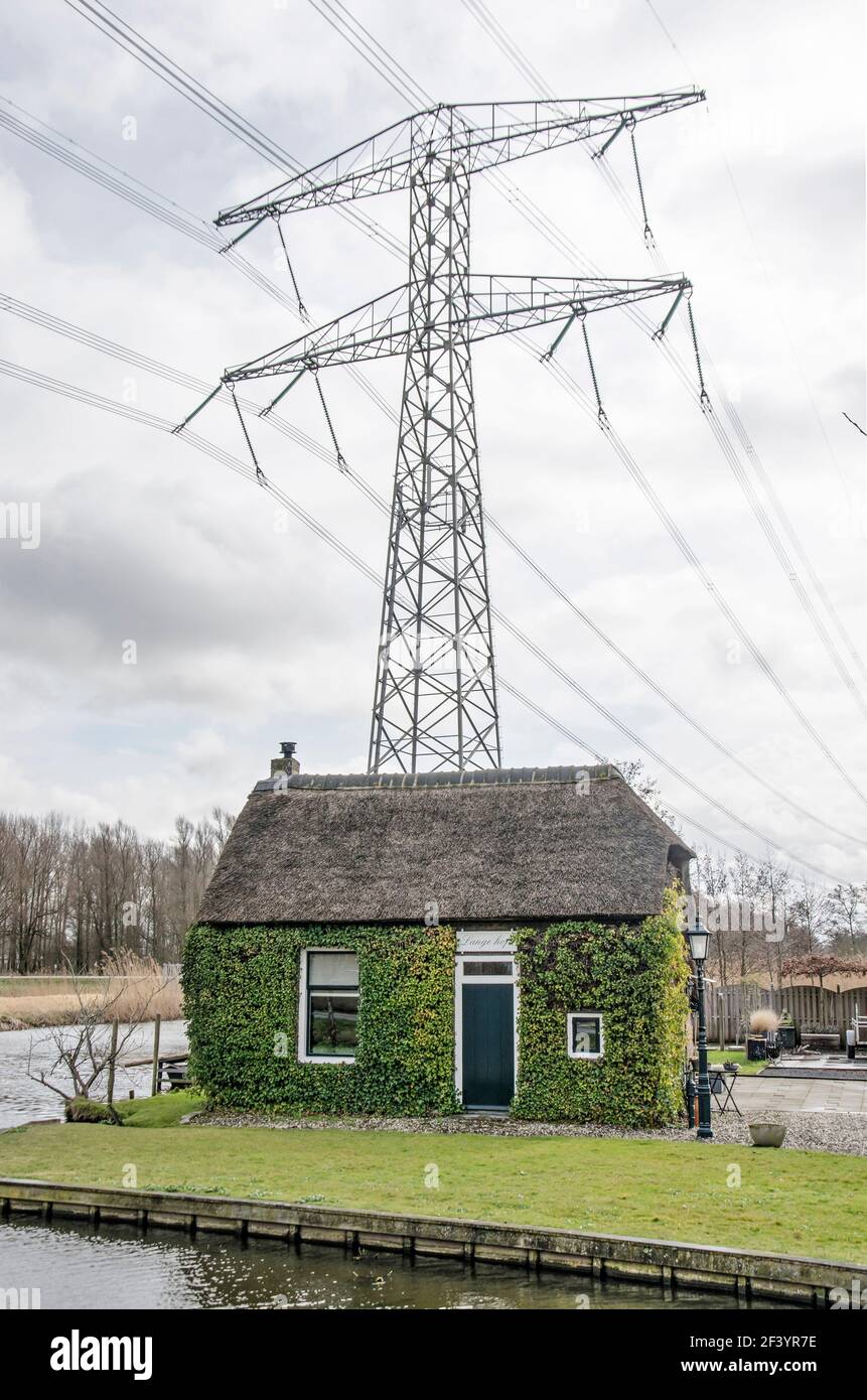 Nieuwerkerk aan den IJssel, Niederlande, 12. März 2021: Kleines Haus mit Strohdach und vegetierter Fassade neben dem Mast der Hochspannungsleitung Stockfoto