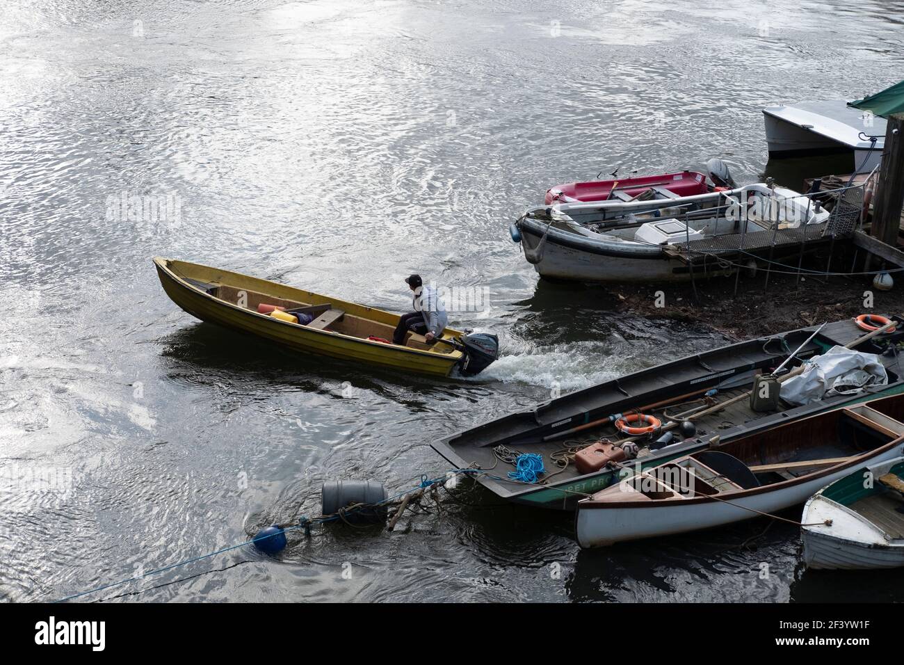 Man stears Motorboot , in Richmond Riverside, Richmond upon Thames, Großbritannien Stockfoto