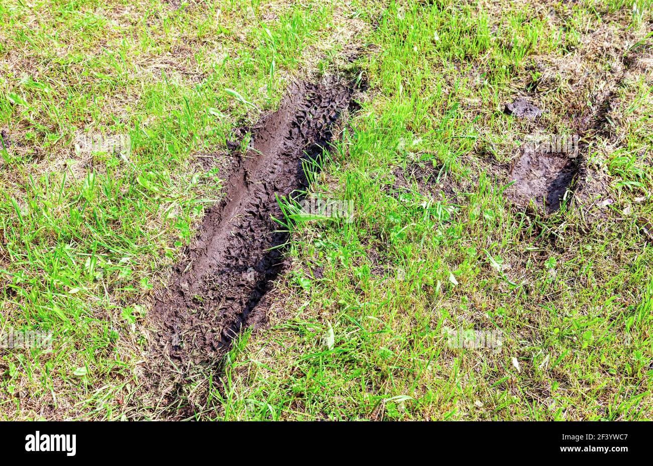 Reifen und Radspuren auf dem Boden mit wachsenden Gras Stockfoto