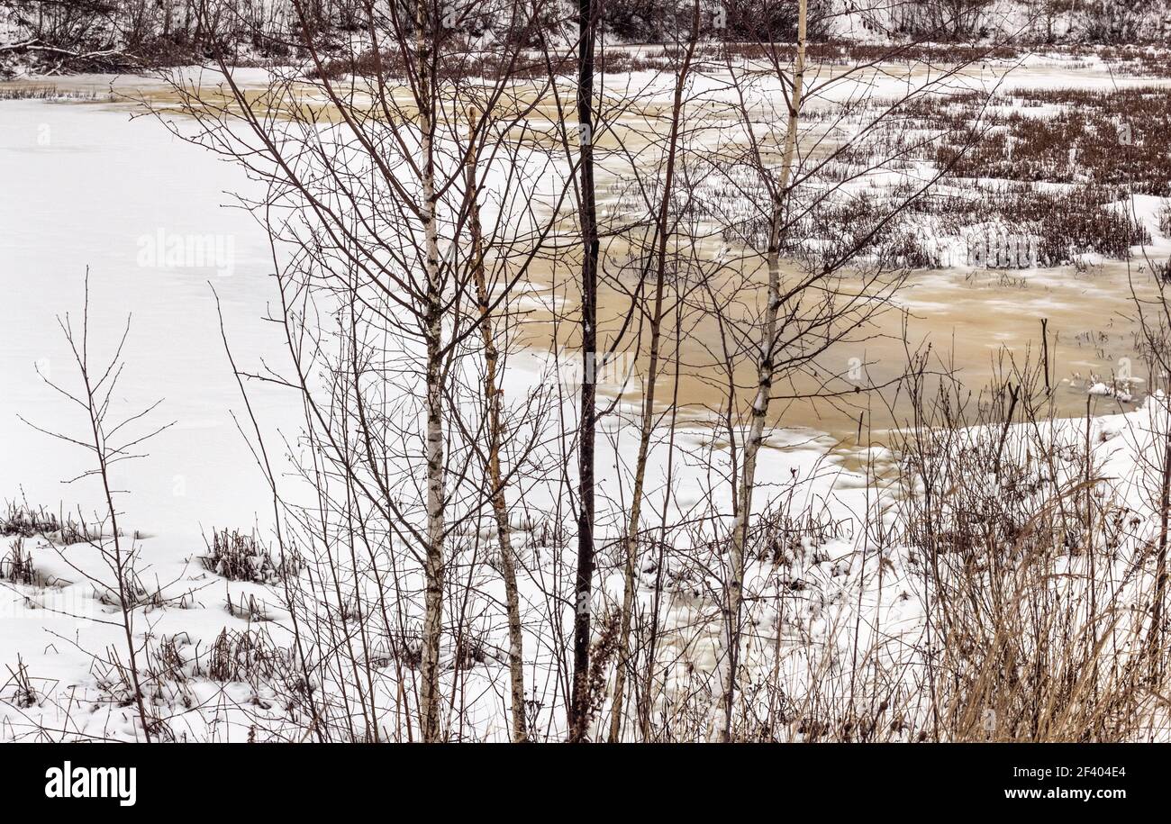 Echte erstaunliche Naturlandschaft im Winter in weiß und beige Farben Stockfoto