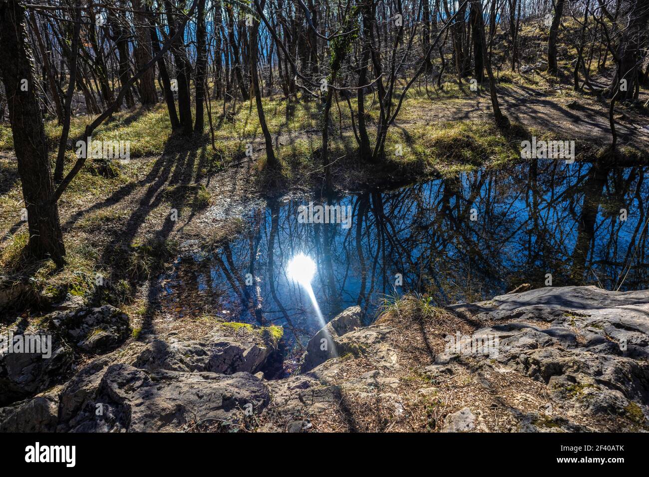 Foto von natürlichen kleinen Vitovsko See in der Mitte des Waldes. Gelegen auf einem Hügel in der Nähe von Sempas Slowenien Stockfoto