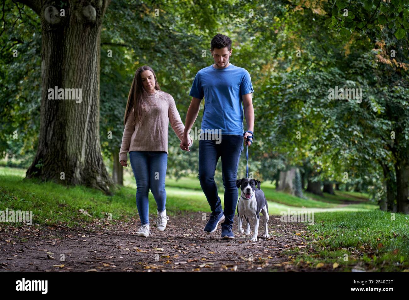 Junges Paar zu Fuß ihren Haustier Hund entlang Weg in der parken Stockfoto
