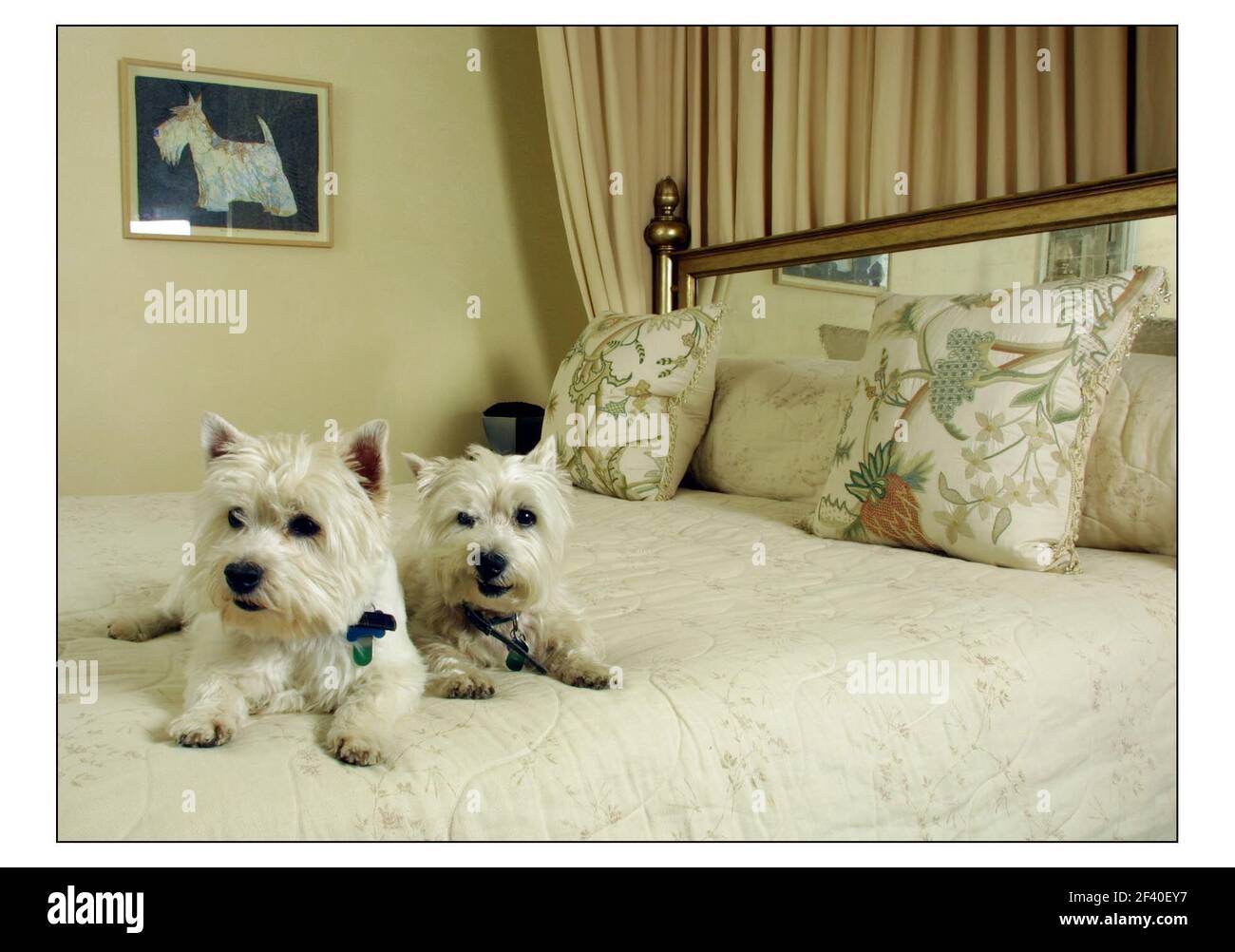 Oscar und Harriet Cullen im Westen Londons.pic David Sandison 17/4/2003 Stockfoto