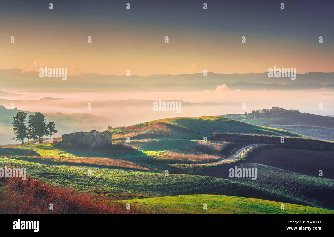 Volterra nebeliges Panorama, Bäume, sanfte Hügel, Straße und grüne Felder bei Sonnenaufgang. Toskana Italien, Europa Stockfoto