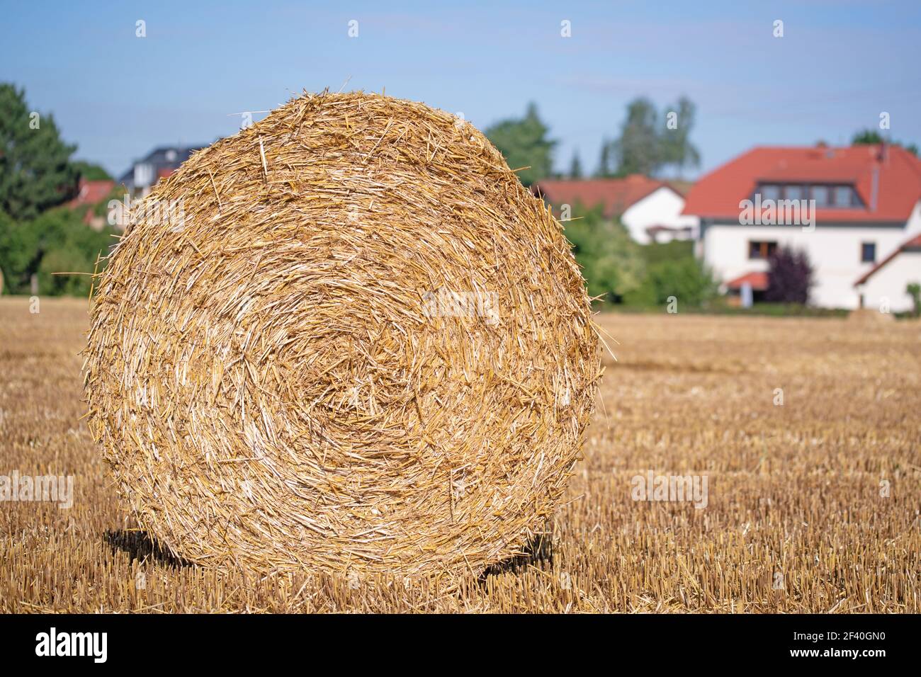 Rundballen aus Strohhalm in Nahaufnahme Stockfoto
