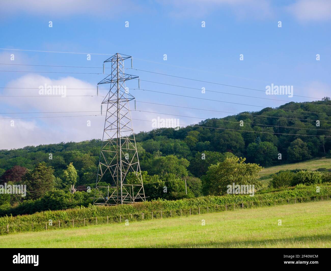 Ein Hochspannungsmast von 132kv in ländlicher Umgebung in Wrington Vale, Somerset, England. Stockfoto