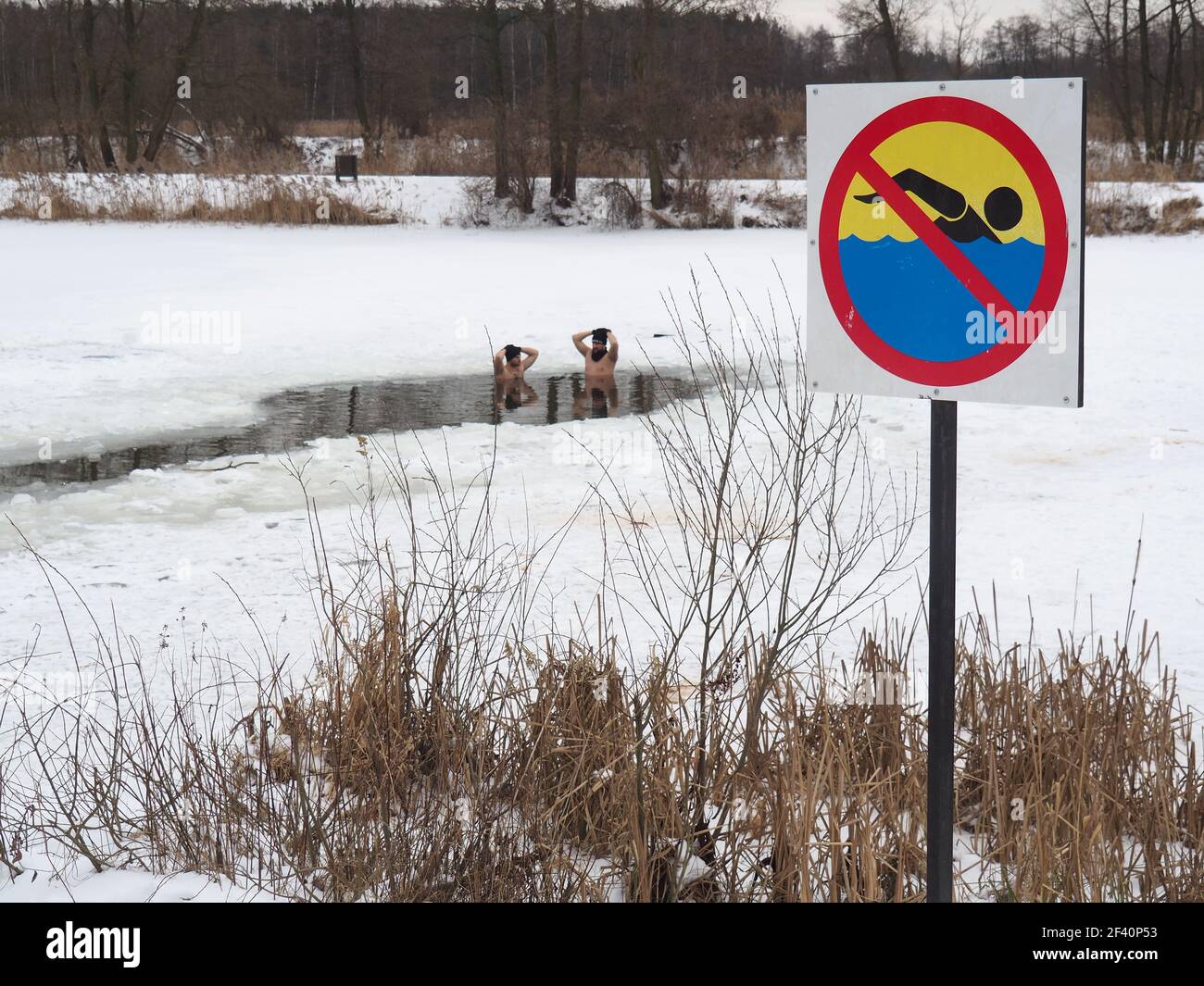 Eiskalte Wasserschwimmer im See Stockfoto