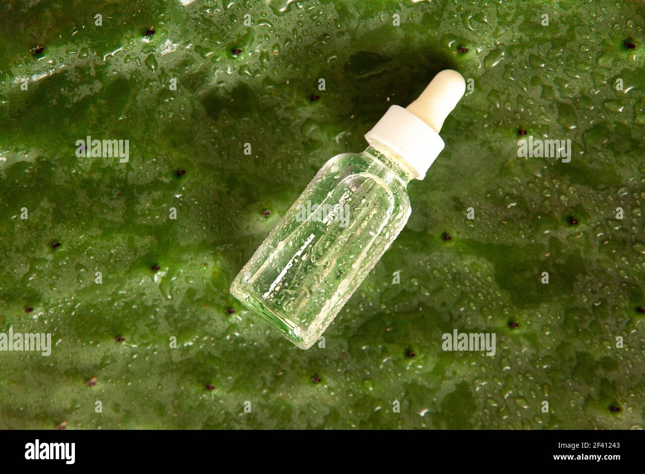 Kaktus Wasserflasche mit Medizin Tropf auf Kaktusblatt mit Platz fr weie  Kopien und Wassertropfen Stockfotografie - Alamy