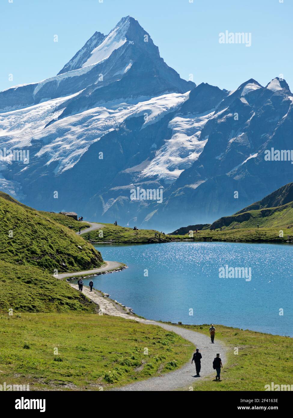 Schweiz, Grindelwald. Blick auf Berge und See, First-Bachalpsee-Faulhorn. Diese Wanderung bietet herrliche Ausblicke auf die Schreckhorngruppe Stockfoto