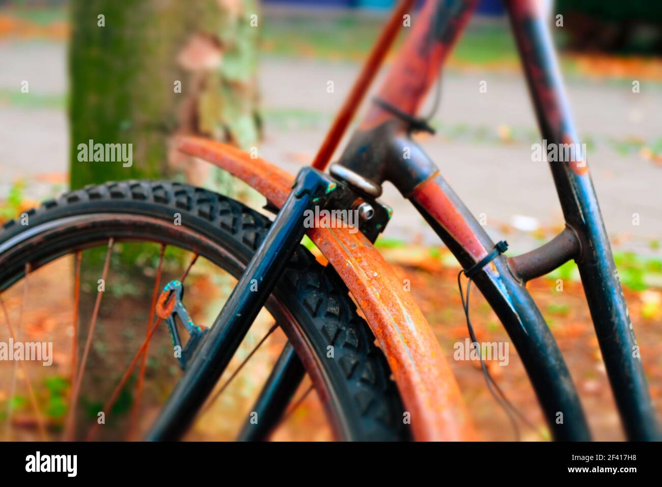 Rostiger Vorderrad des Fahrrads Stockfoto