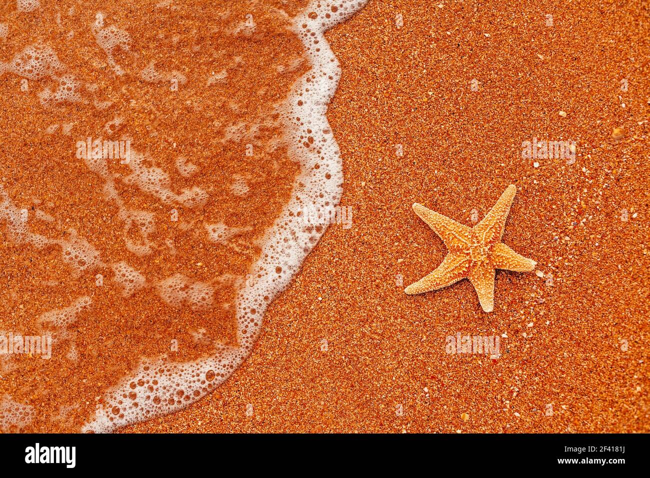 Seastar ruht auf grobem Sand wie Tourist im Resort, Copyspace. Seastar ruht auf grobem Sand Stockfoto