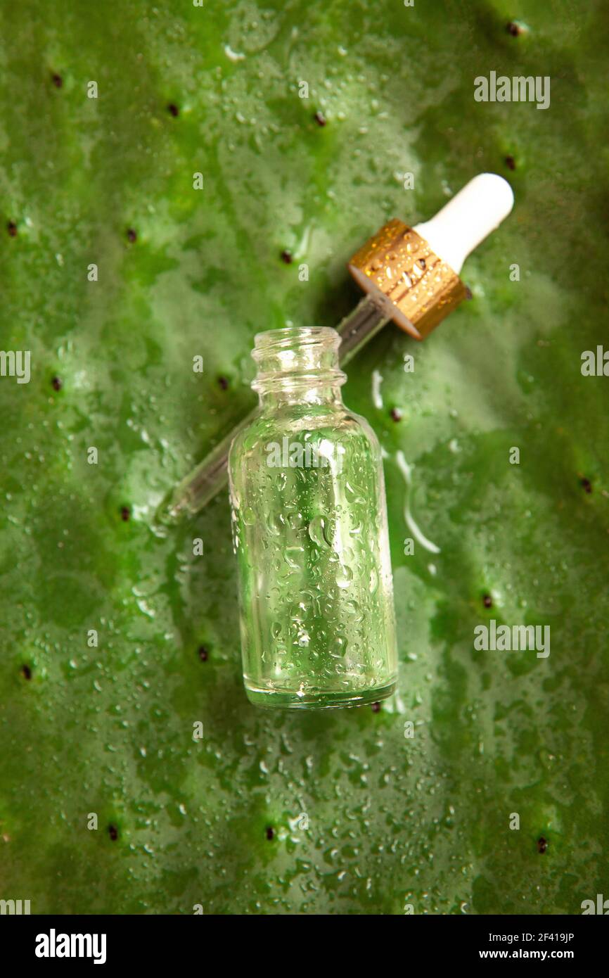 Kaktus Wasserflasche mit Medizin Tropf auf Kaktusblatt mit Platz fr weie  Kopien und Wassertropfen Stockfotografie - Alamy