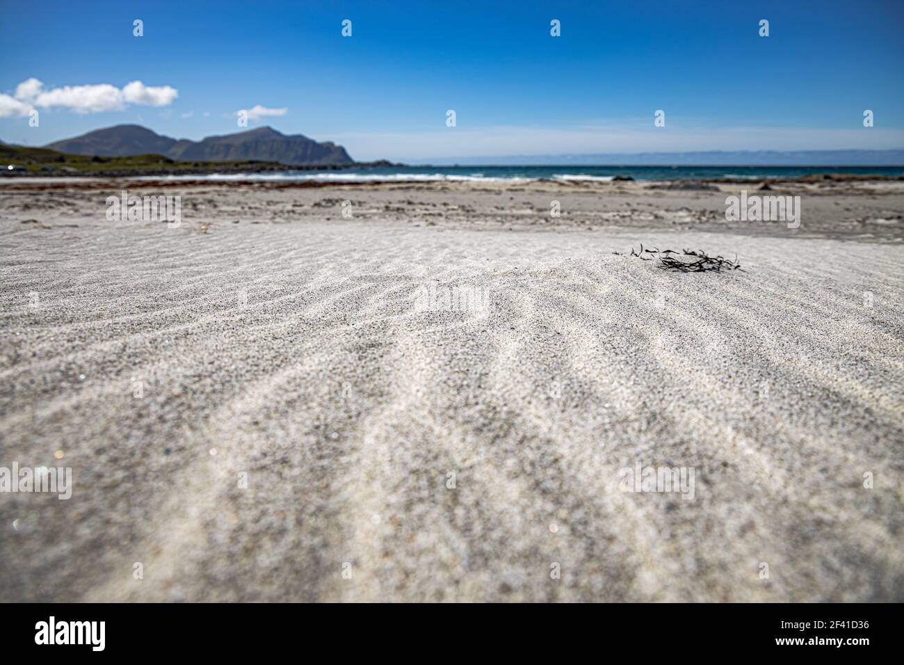 Strand die Lofoten Inseln sind ein Archipel in der Grafschaft Nordland, Norwegen. Ist bekannt für eine unverwechselbare Landschaft mit dramatischen Bergen und Gipfeln, offenes Meer und geschützte Buchten, Strände bekannt Stockfoto