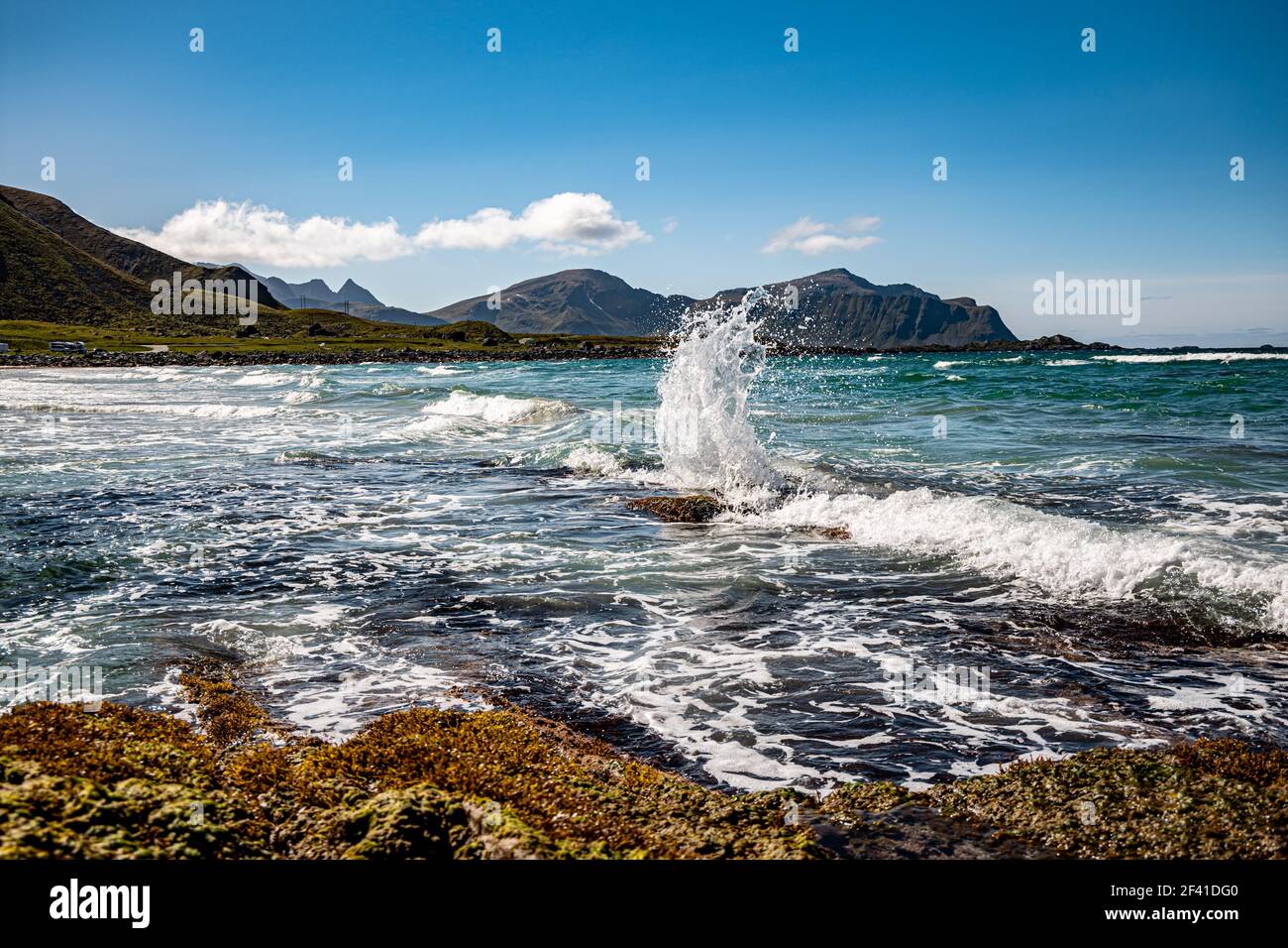 Strand die Lofoten Inseln sind ein Archipel in der Grafschaft Nordland, Norwegen. Ist bekannt für eine unverwechselbare Landschaft mit dramatischen Bergen und Gipfeln, offenes Meer und geschützte Buchten, Strände bekannt Stockfoto