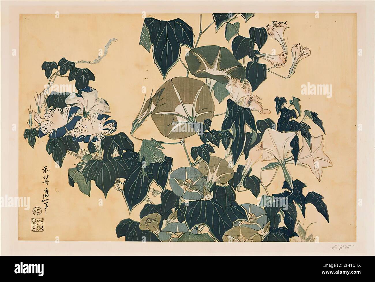 Katsushika Hokusai 葛飾北斎- Volubilismus Pippin Stockfoto